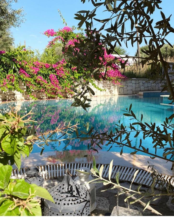 Ata Boutique Hotel Çeşme المظهر الخارجي الصورة